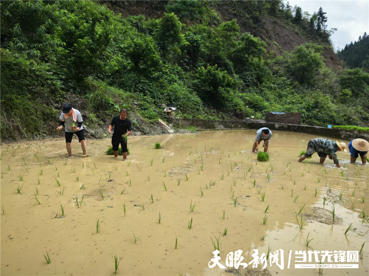 與農(nóng)戶一起勞作。.png